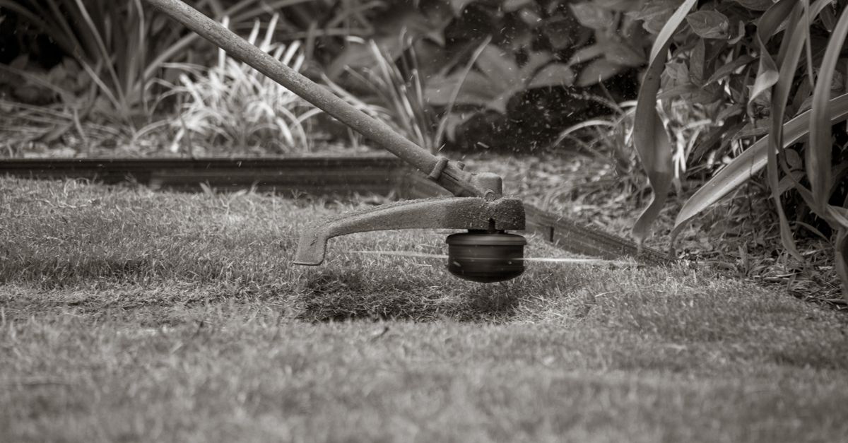 Green Thumb Lawn Care work example