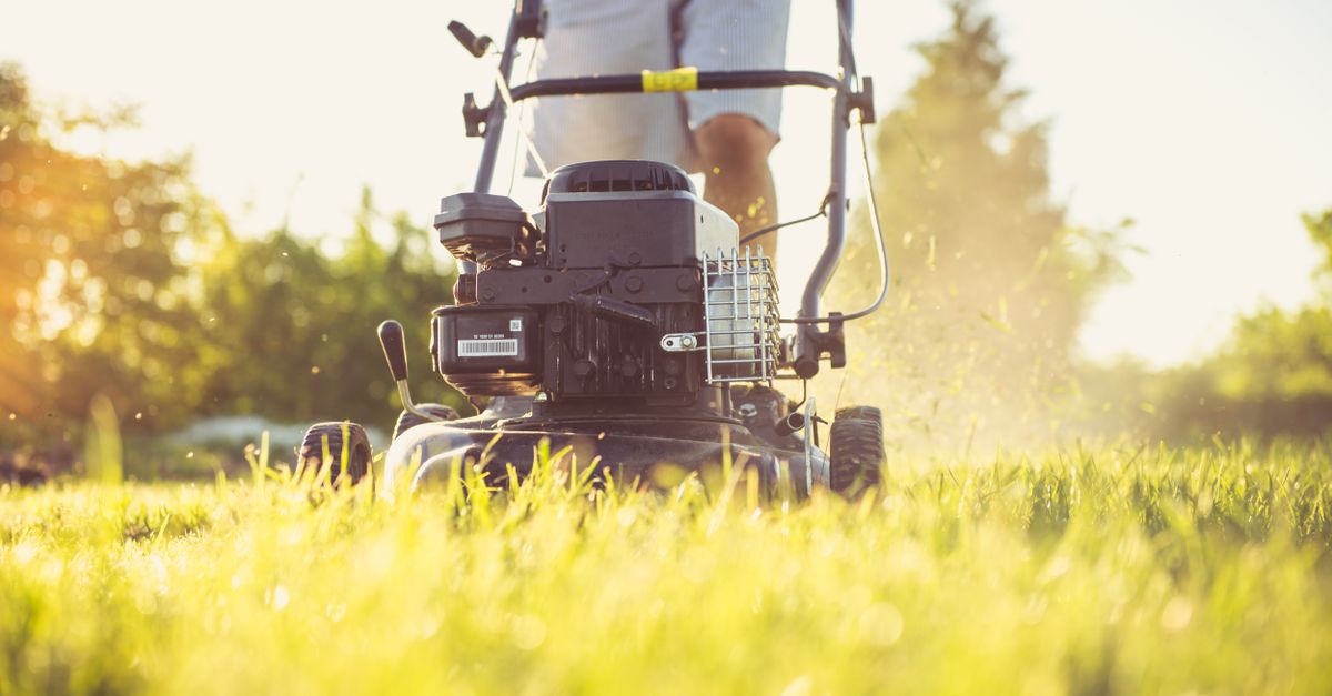 Green Thumb Lawn Care work example