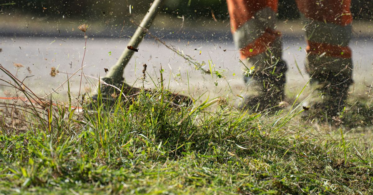 Green Thumb Lawn Care work example