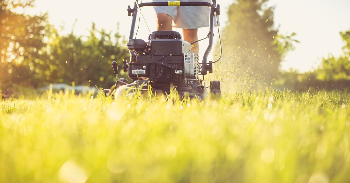 Green Thumb Lawn Care work example